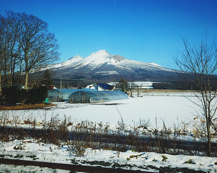 Sapporo photo