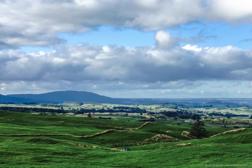 The rolling hills near Matamata, New Zealand. 