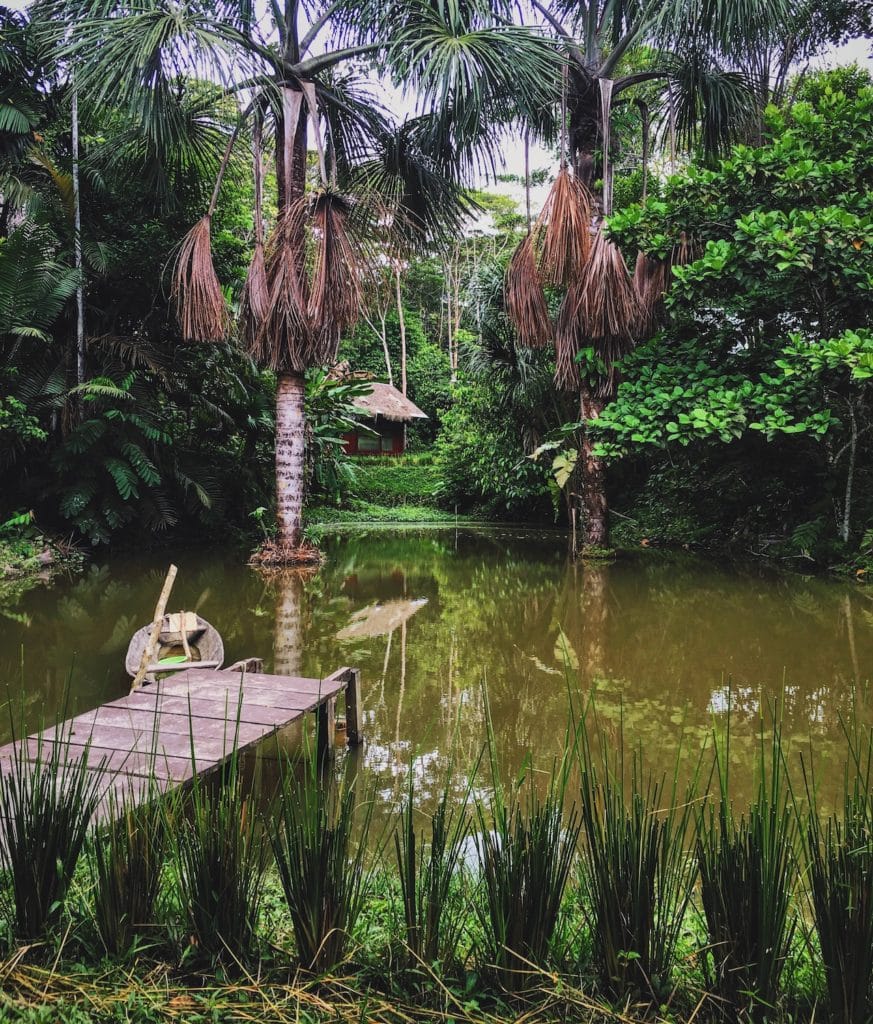 A lake on the campus of the Temple of the Way of Light outside Iquitos, Peru.