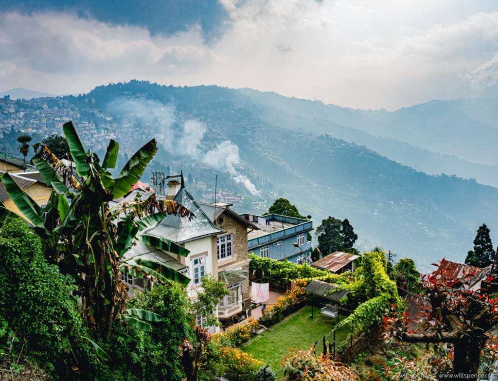 Darjeeling Tea Farm