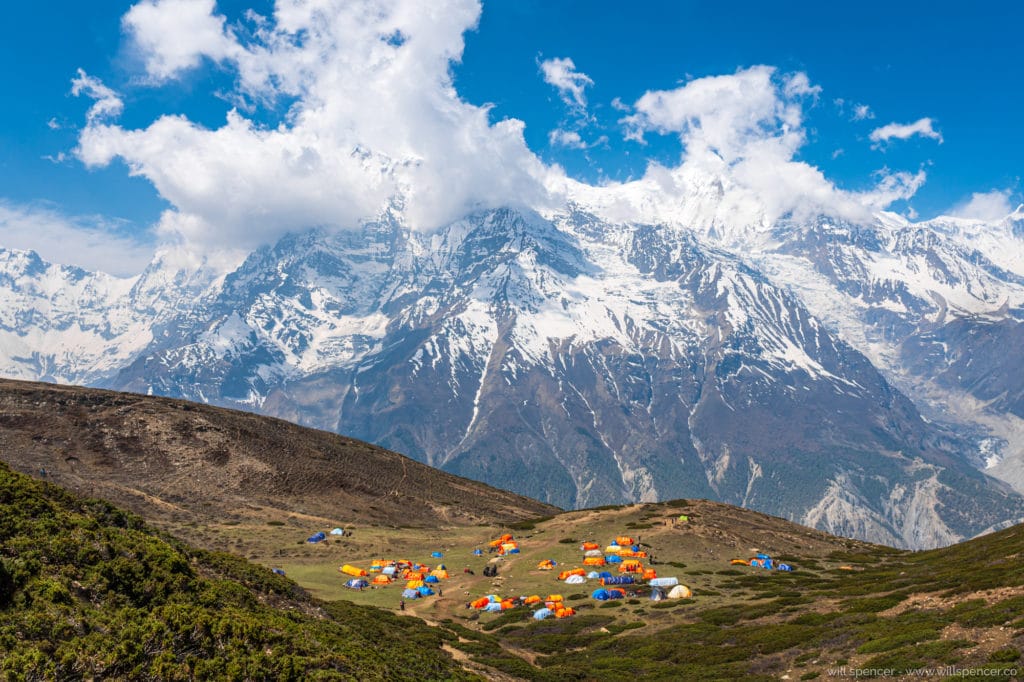 Tent field