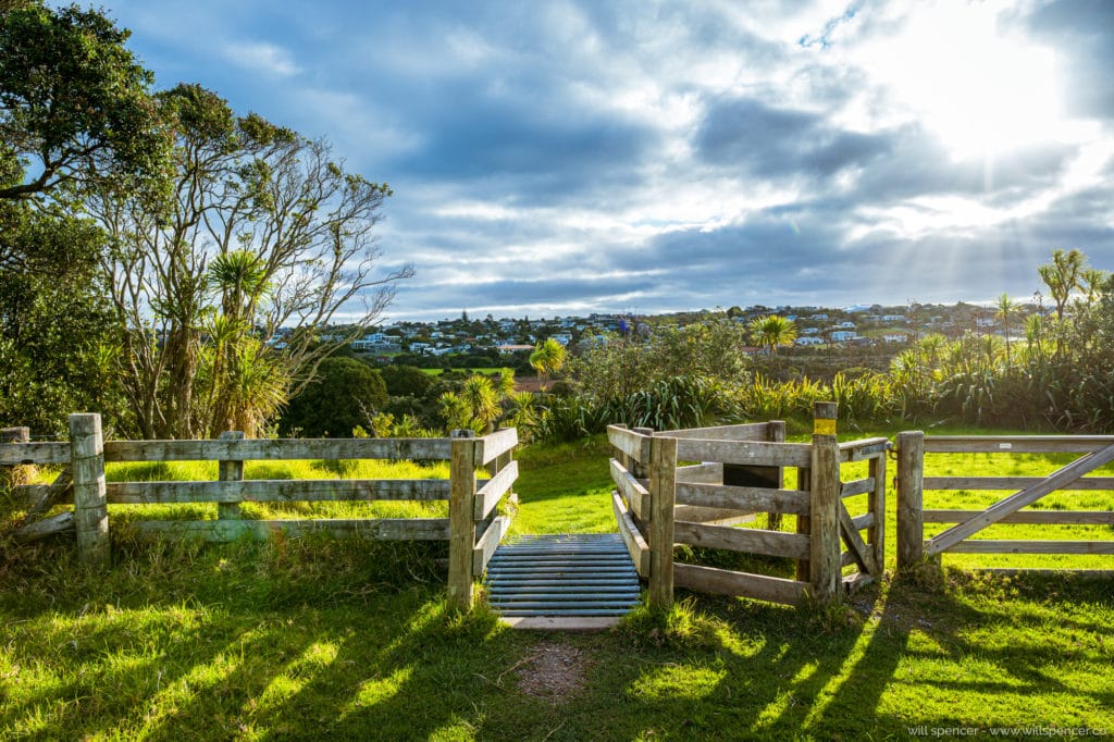 NZ fence